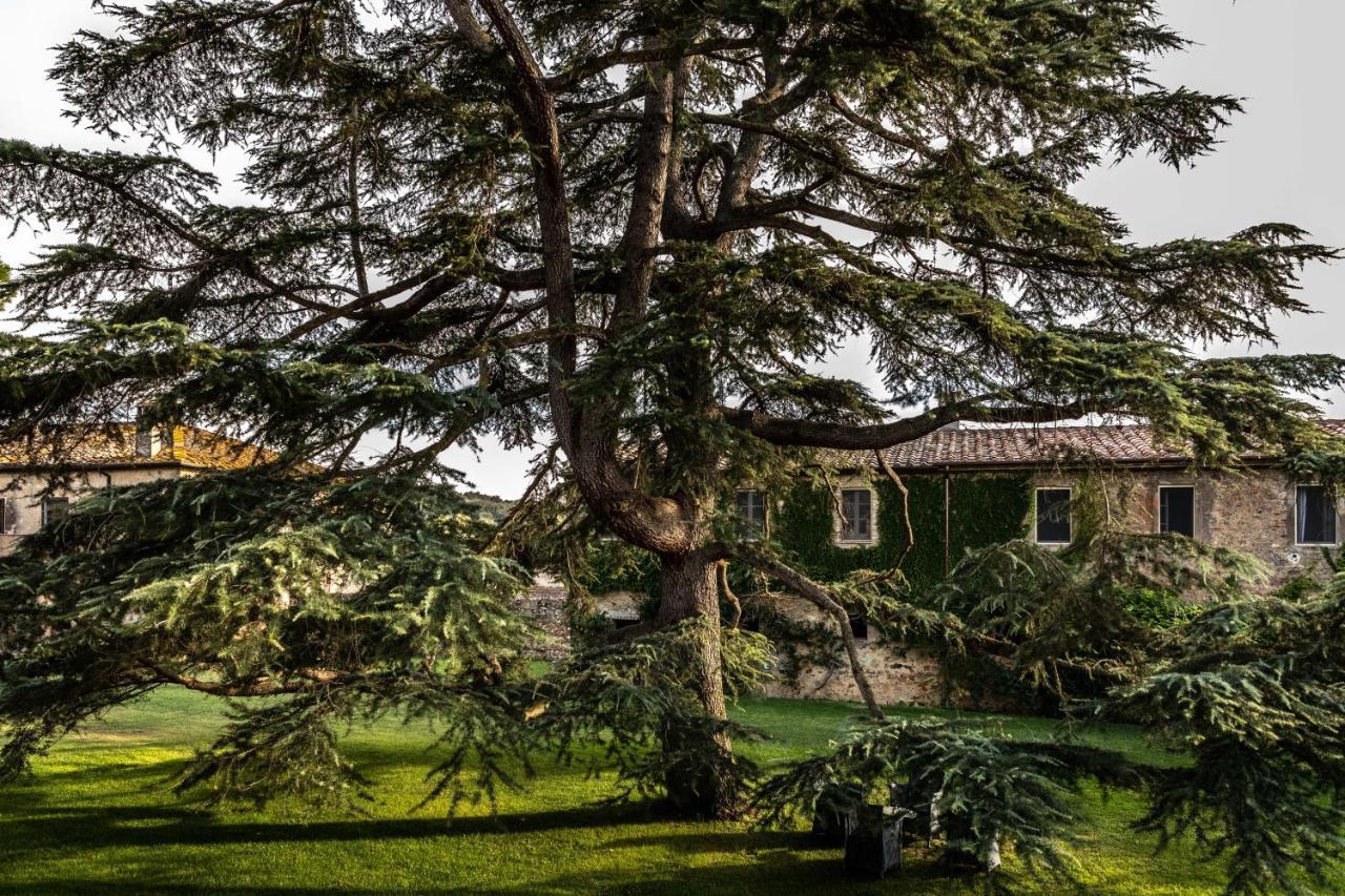 La Pescaia Resort Eksteriør bilde